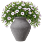 Preview: Etruskische Terracotta Amphore - Orcio etrusco liscio